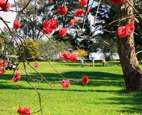 The Yass Golf Club - Northern Rivers Accommodation 0