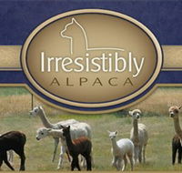 Marchmont Park Alpacas - Northern Rivers Accommodation