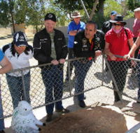 Fossil Rock - Northern Rivers Accommodation