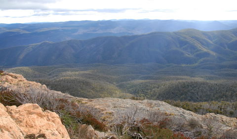 Brindabella National Park - Northern Rivers Accommodation 2