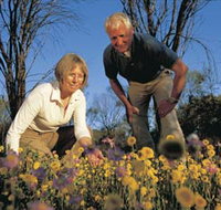 Canna Reserve - Northern Rivers Accommodation