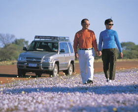 Canna Reserve - Northern Rivers Accommodation 1