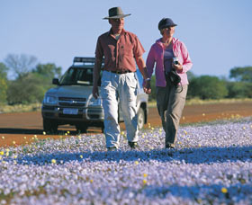 Canna Reserve - Northern Rivers Accommodation 2