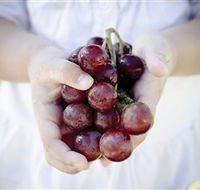 Granitevale  Estate Winery - Northern Rivers Accommodation