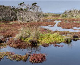 French Island National Park - Northern Rivers Accommodation 0
