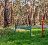 Lobs Hole Ravine 4WD Trail - Northern Rivers Accommodation