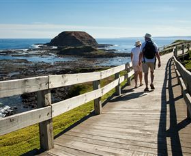 Phillip Island Nature Parks - Northern Rivers Accommodation 3