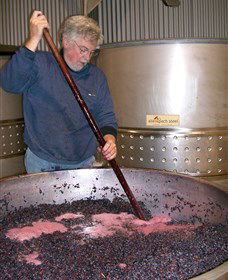 Mundoonen Winery - Northern Rivers Accommodation 0