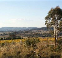 Yarrh Wines - Northern Rivers Accommodation
