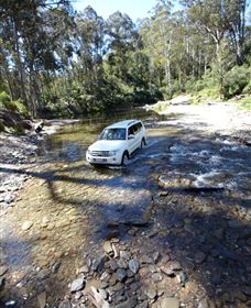 Aberfeldy Four Wheel Drive Track - Northern Rivers Accommodation 1
