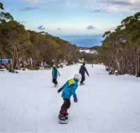 Mt Baw Baw Alpine Resort - Northern Rivers Accommodation