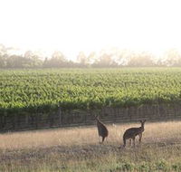 Small Forest Wine - Northern Rivers Accommodation