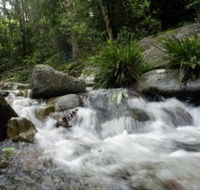 Washpool National Park - Northern Rivers Accommodation