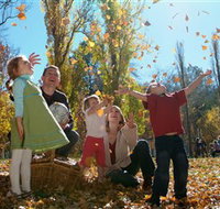 Cotter Avenue recreation area - Northern Rivers Accommodation