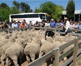 Ancona ACT Northern Rivers Accommodation