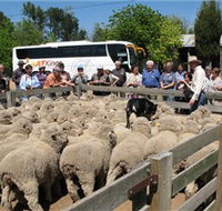 Gold Creek Station - Northern Rivers Accommodation