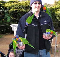 Canberra Walk In Aviary - Northern Rivers Accommodation