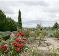 Crystal Brook Lavender Farm - Northern Rivers Accommodation