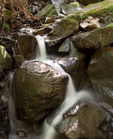 Arc-en-Ciel Trout Farm - Northern Rivers Accommodation 1