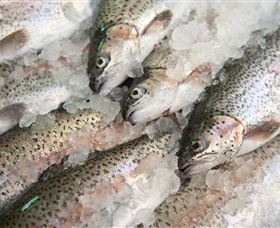 Arc-en-Ciel Trout Farm - Northern Rivers Accommodation 3