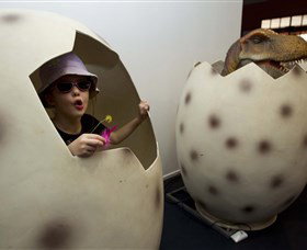 National Dinosaur Museum - Northern Rivers Accommodation 2