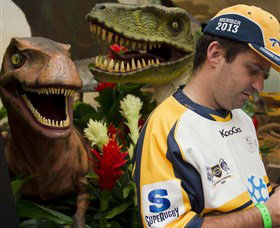 National Dinosaur Museum - Northern Rivers Accommodation 3