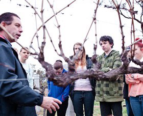 Varias Restaurant And Conference Centre Incorporating Banca Ridge Winery Cellar Door - Northern Rivers Accommodation 3