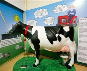 Hunter Belle Cheese - Northern Rivers Accommodation 3