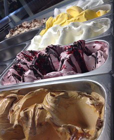 Hunter Belle Cheese - Northern Rivers Accommodation 4