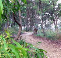 Mount Mutton Walking Trail - Northern Rivers Accommodation