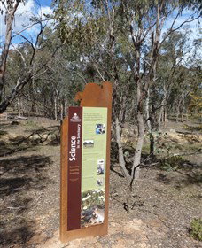 Mulligans Flat - Northern Rivers Accommodation 1