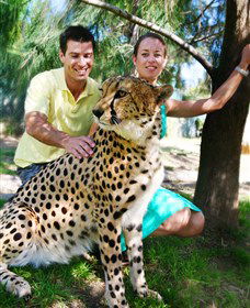 National Zoo & Aquarium - Northern Rivers Accommodation 0