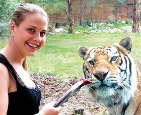 National Zoo & Aquarium - Northern Rivers Accommodation 1