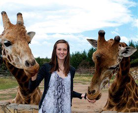 National Zoo & Aquarium - Northern Rivers Accommodation 2