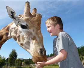 National Zoo & Aquarium - Northern Rivers Accommodation 3