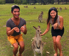 Runaway Tours - Northern Rivers Accommodation 0