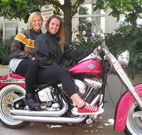 Wild Ride Harley and Motorcycle Tours - Northern Rivers Accommodation