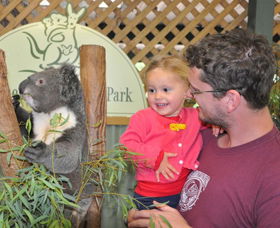 Blue Diamond Tours - Northern Rivers Accommodation 0
