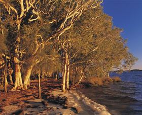 East Coast Adventure Bus - Northern Rivers Accommodation 2