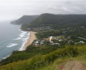 Sydney Private Guided Tours - Northern Rivers Accommodation 5