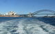 Oz Whale Watching - thumb 5
