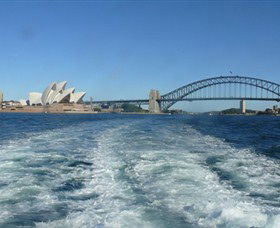 Oz Whale Watching - Northern Rivers Accommodation 5