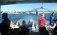 Oz Whale Watching - thumb 6