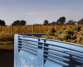 Quealy Winemakers - Northern Rivers Accommodation 3