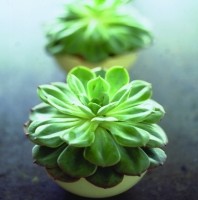 Crossroads Homemaker Centre - Northern Rivers Accommodation 1