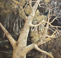 Ku-Ring-Gai Art Centre  Gallery - Northern Rivers Accommodation