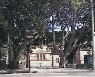 Rozelle Weekend Markets - Northern Rivers Accommodation 0