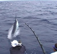 Amokura Charters - Northern Rivers Accommodation