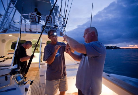Amokura Charters - Northern Rivers Accommodation 1