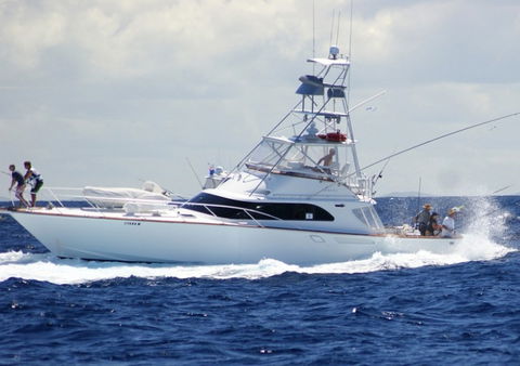 Amokura Charters - Northern Rivers Accommodation 2